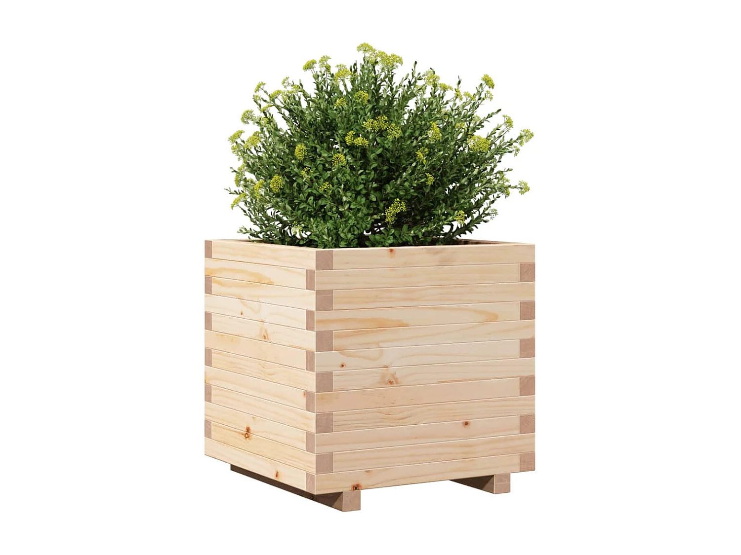 Jardinière 50x50x49,5 cm bois de pin massif FR62863