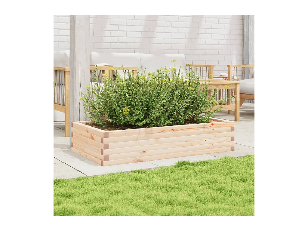Jardinière 110x60x23 cm bois de pin massif FR37559