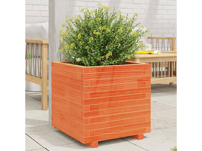 Jardinière cire marron 50x50x49,5 cm bois de pin massif FR82380