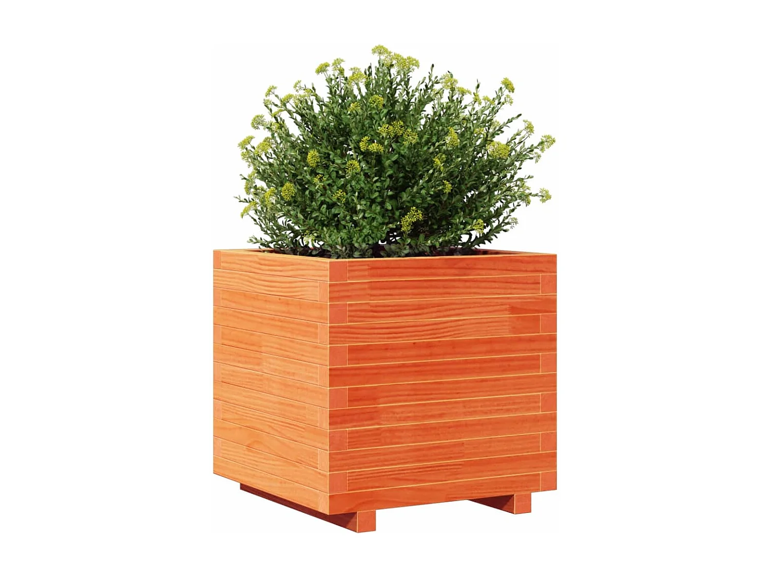 Jardinière cire marron 50x50x49,5 cm bois de pin massif FR82380