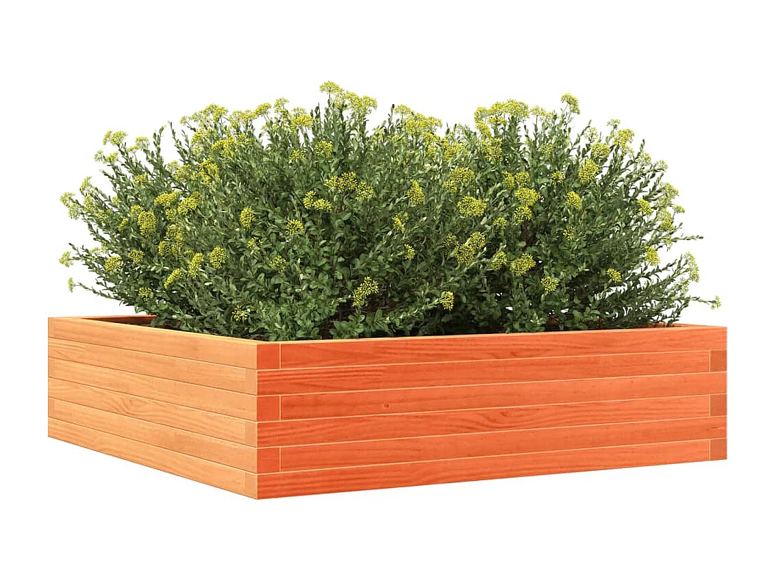 Jardinière cire marron 90x90x23 cm bois de pin massif FR88597