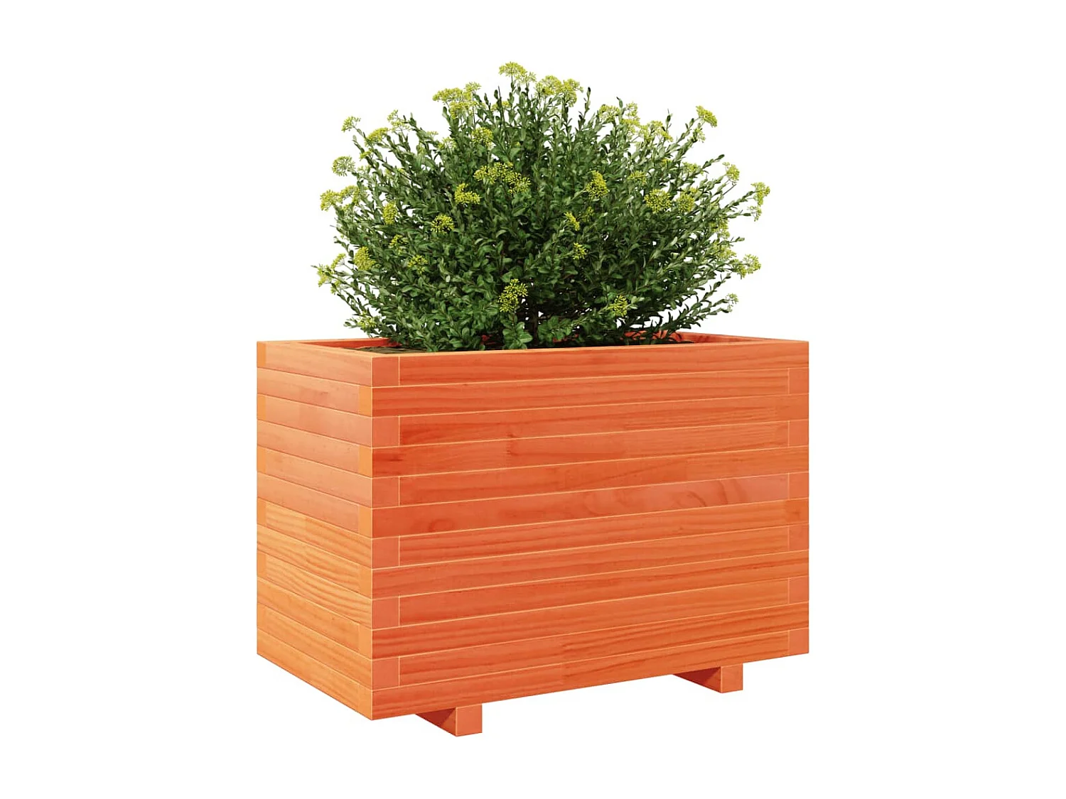 Jardinière cire marron 70x40x49,5 cm bois de pin massif FR81093