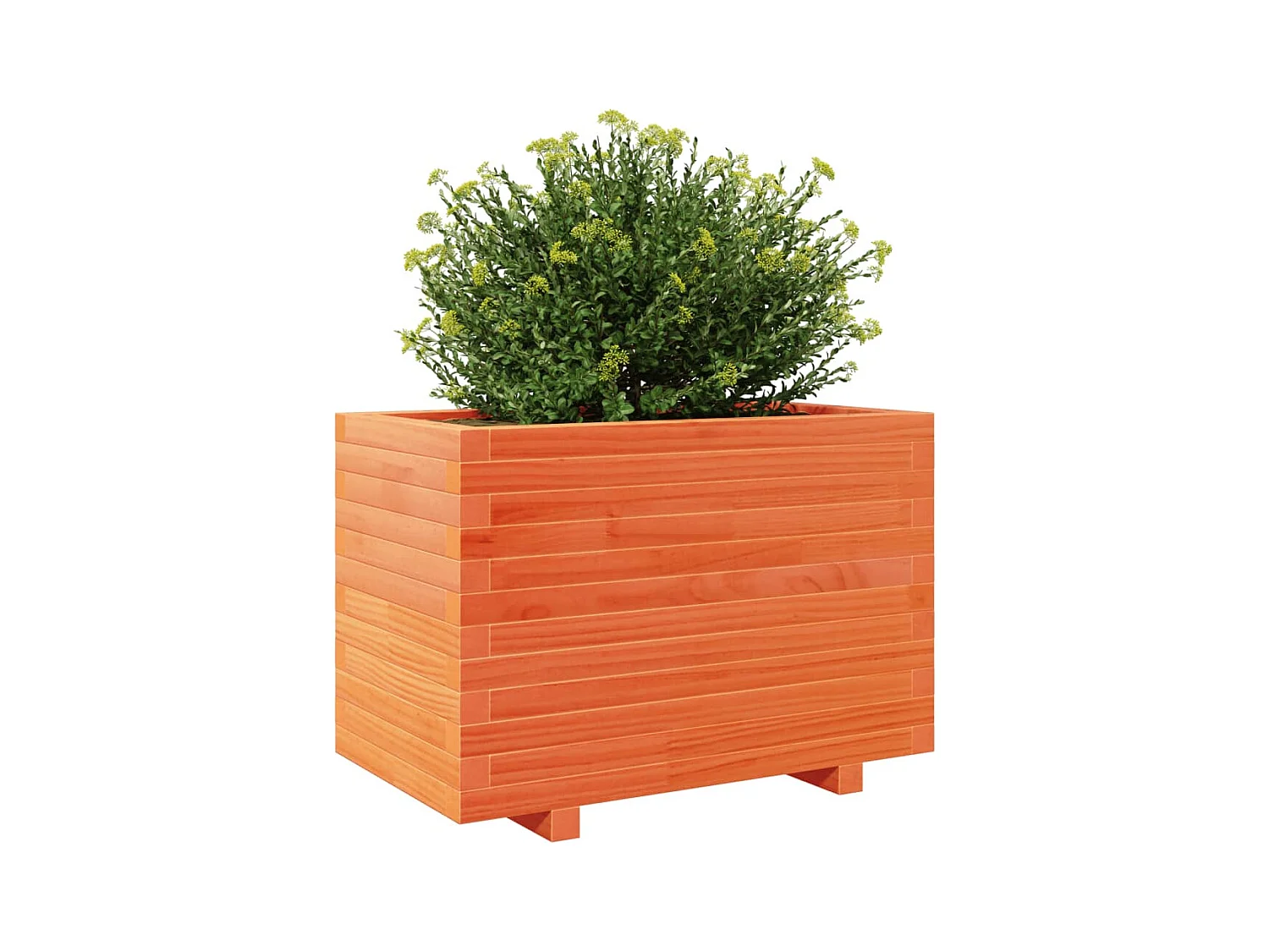 Jardinière cire marron 70x40x49,5 cm bois de pin massif FR81093