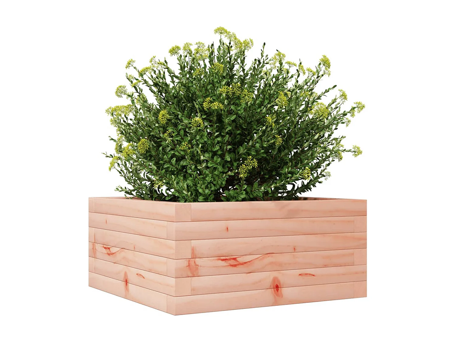 Plantenbak 50x50x23 cm massief douglashout BE971810