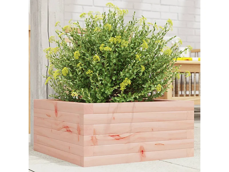 Plantenbak 50x50x23 cm massief douglashout BE971810