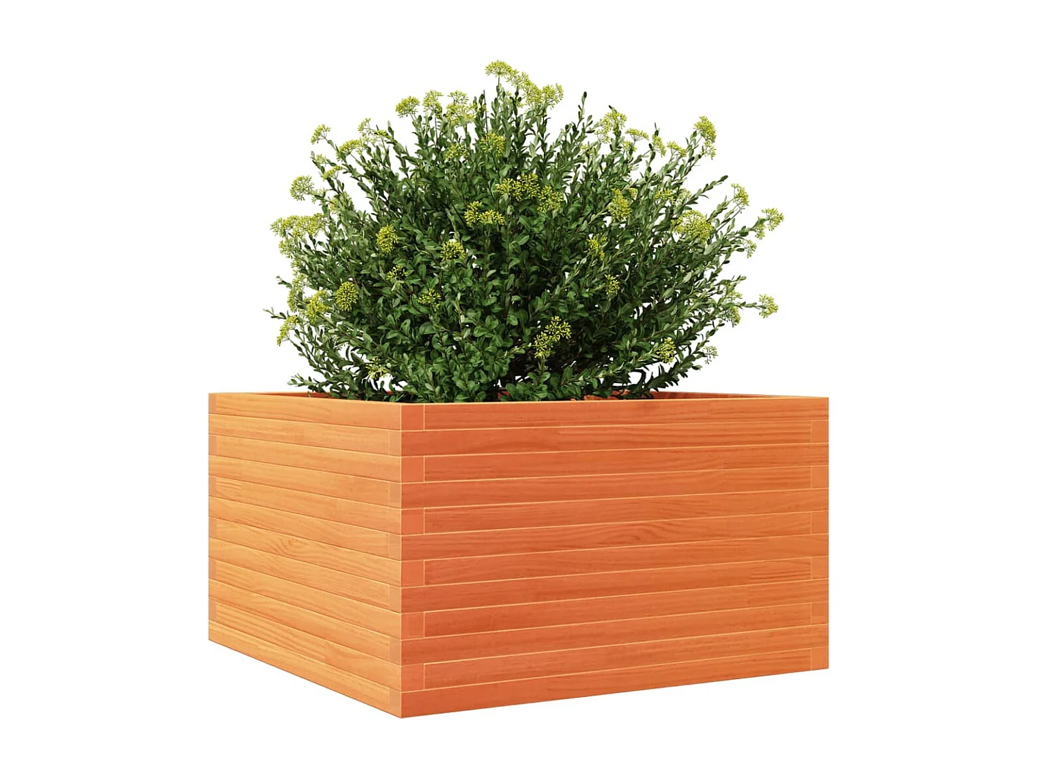 Plantenbak 80x80x46 cm massief grenenhout wasbruin BE702936