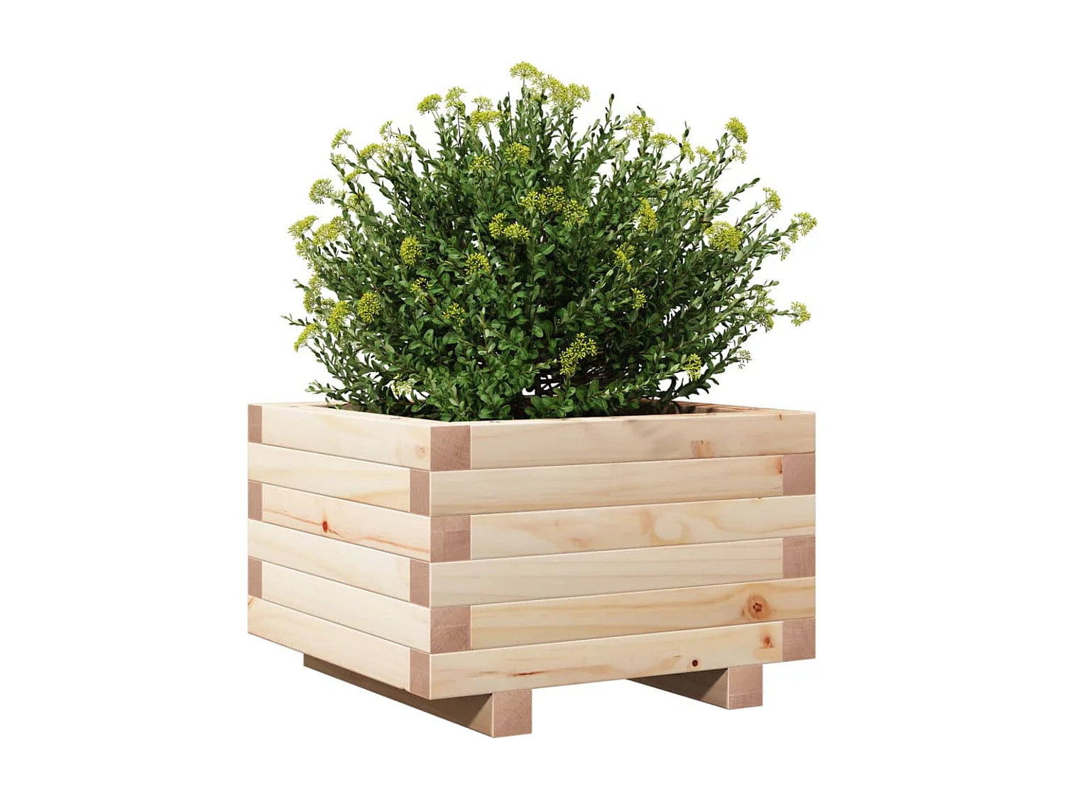 Plantenbak 40x40x26,5 cm massief grenenhout BE952252
