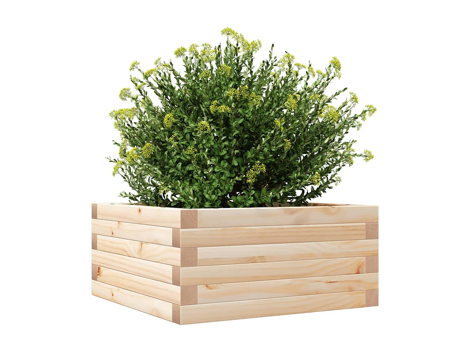 Jardinière 50x50x23 cm bois de pin massif FR47455