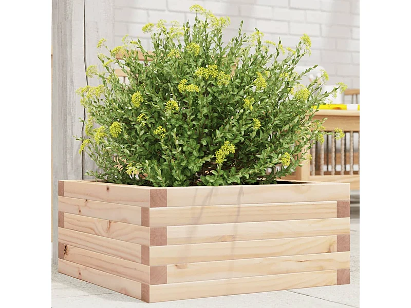 Jardinière 50x50x23 cm bois de pin massif FR47455