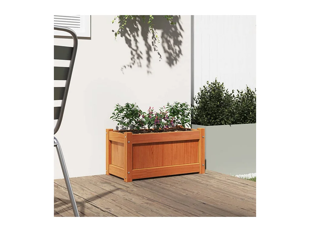 Jardinière cire marron 60x31x31 cm bois de pin massif FR44188
