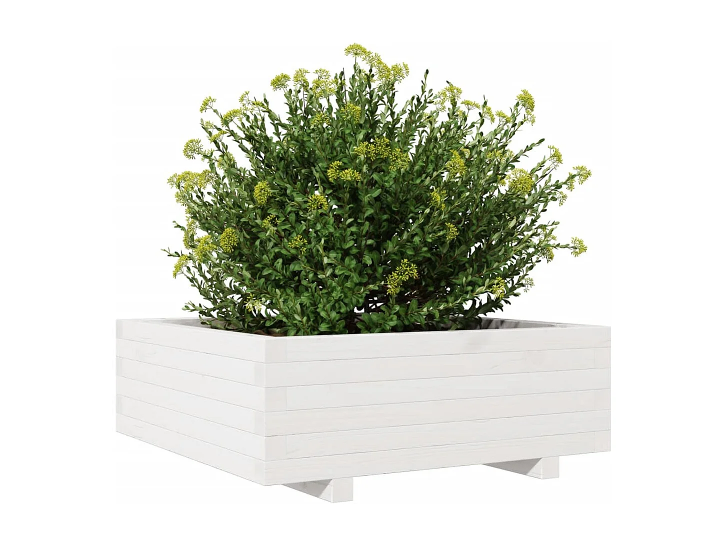 Jardinière blanc 70x70x26,5 cm bois de pin massif FR30871