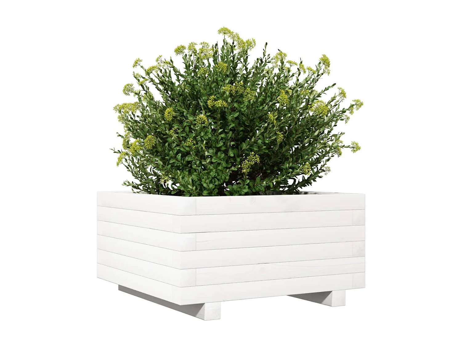 Jardinière blanc 50x50x26,5 cm bois de pin massif FR80654