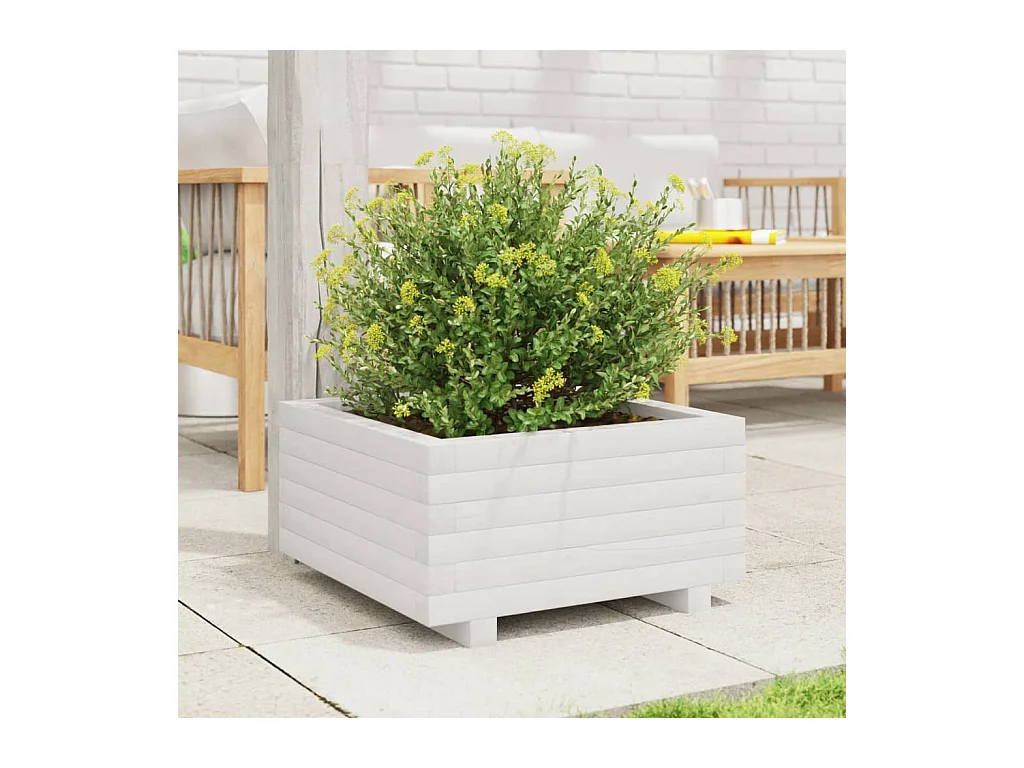 Jardinière blanc 50x50x26,5 cm bois de pin massif FR80654