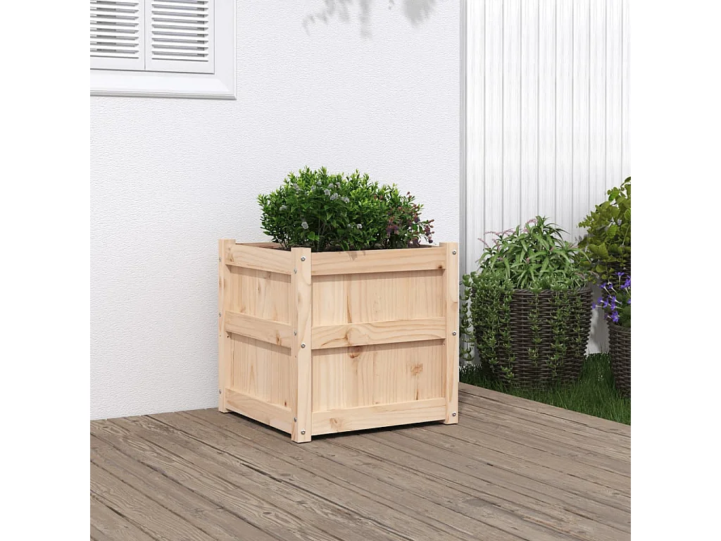 Plantenbak 50x50x50 cm massief grenenhout BE309466