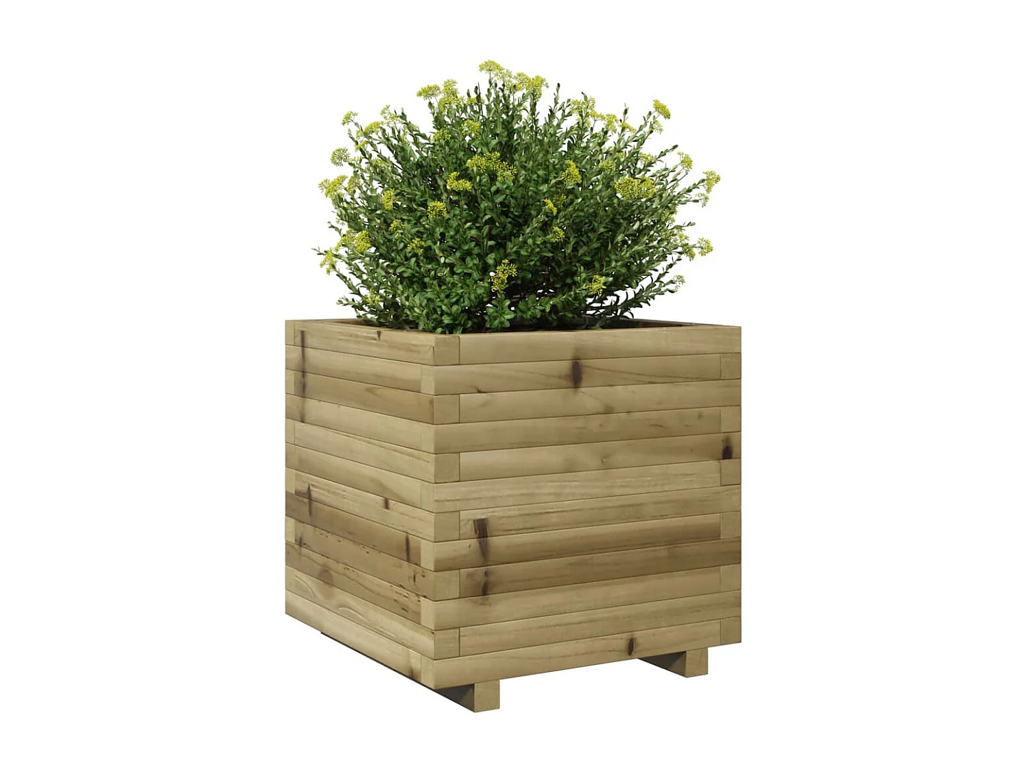 Vaso/floreira de jardim 50x50x49,5 madeira de pinho impregnada PT102633