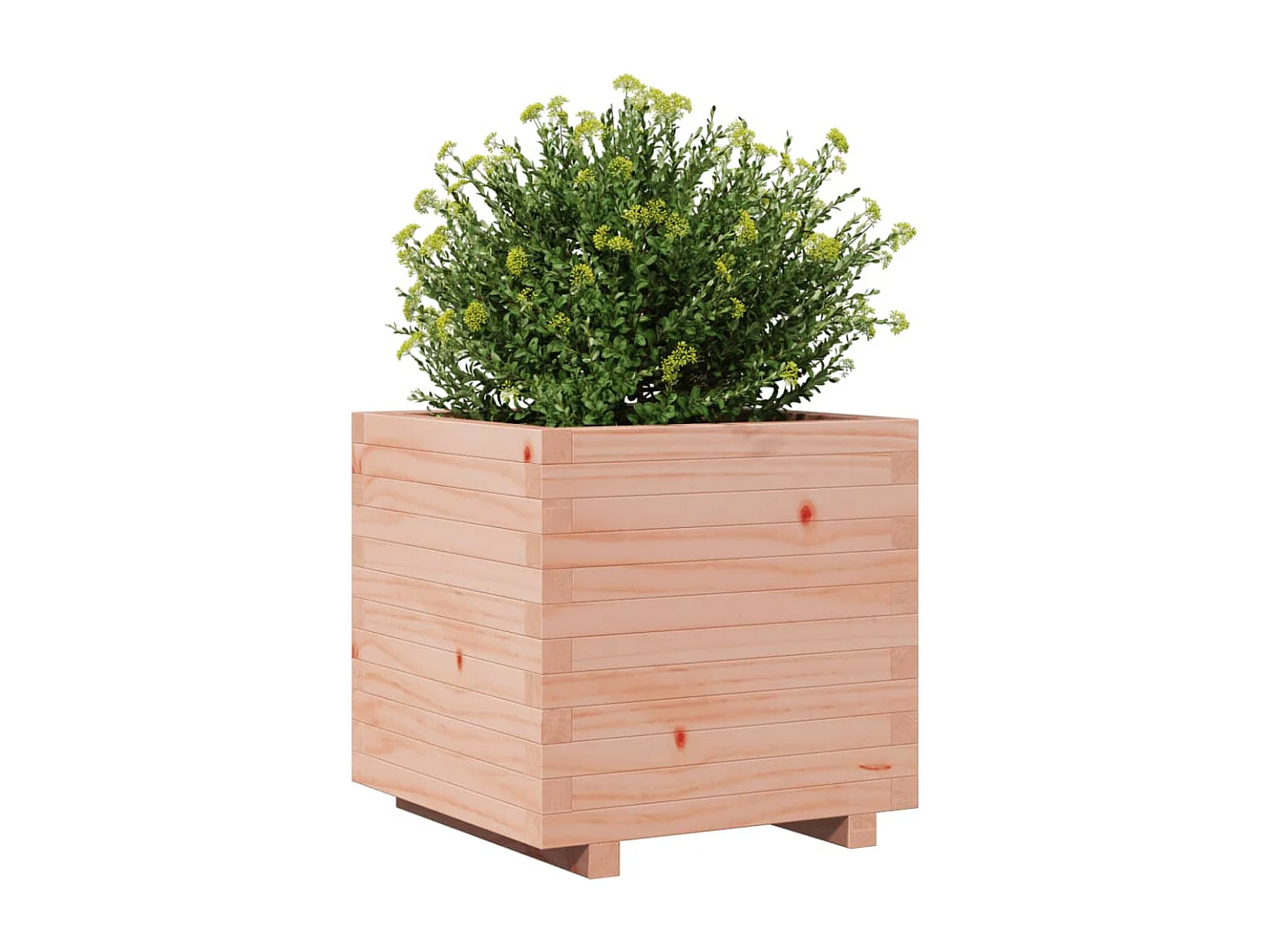 Jardinière 50x50x49,5 cm bois massif de douglas FR54670