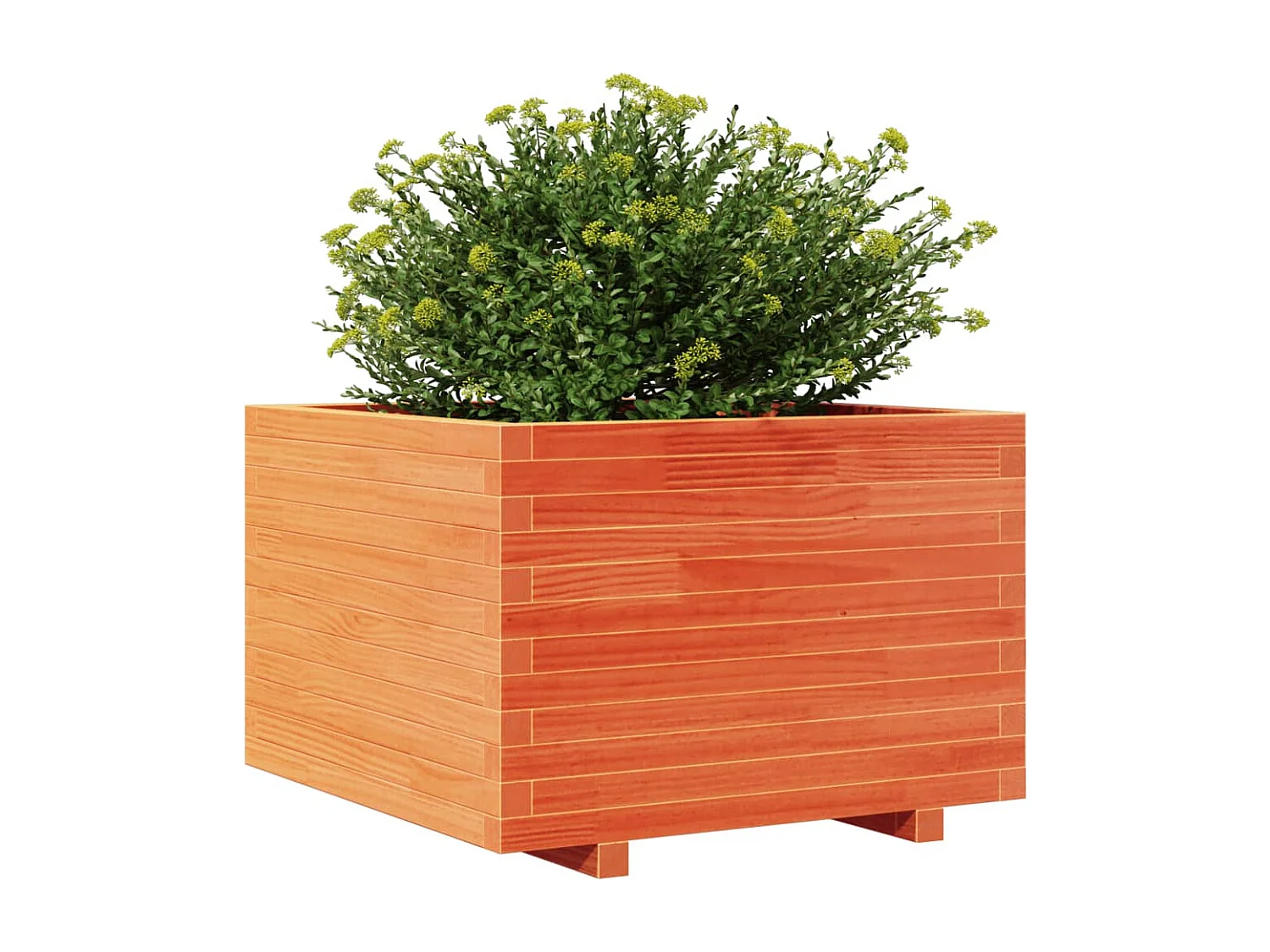 Plantenbak 70x70x49,5 cm massief grenenhout wasbruin BE619652