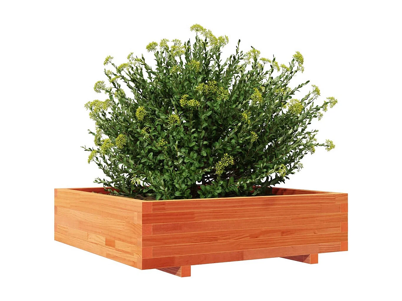 Plantenbak 90x90x26,5 cm massief grenenhout wasbruin BE643054