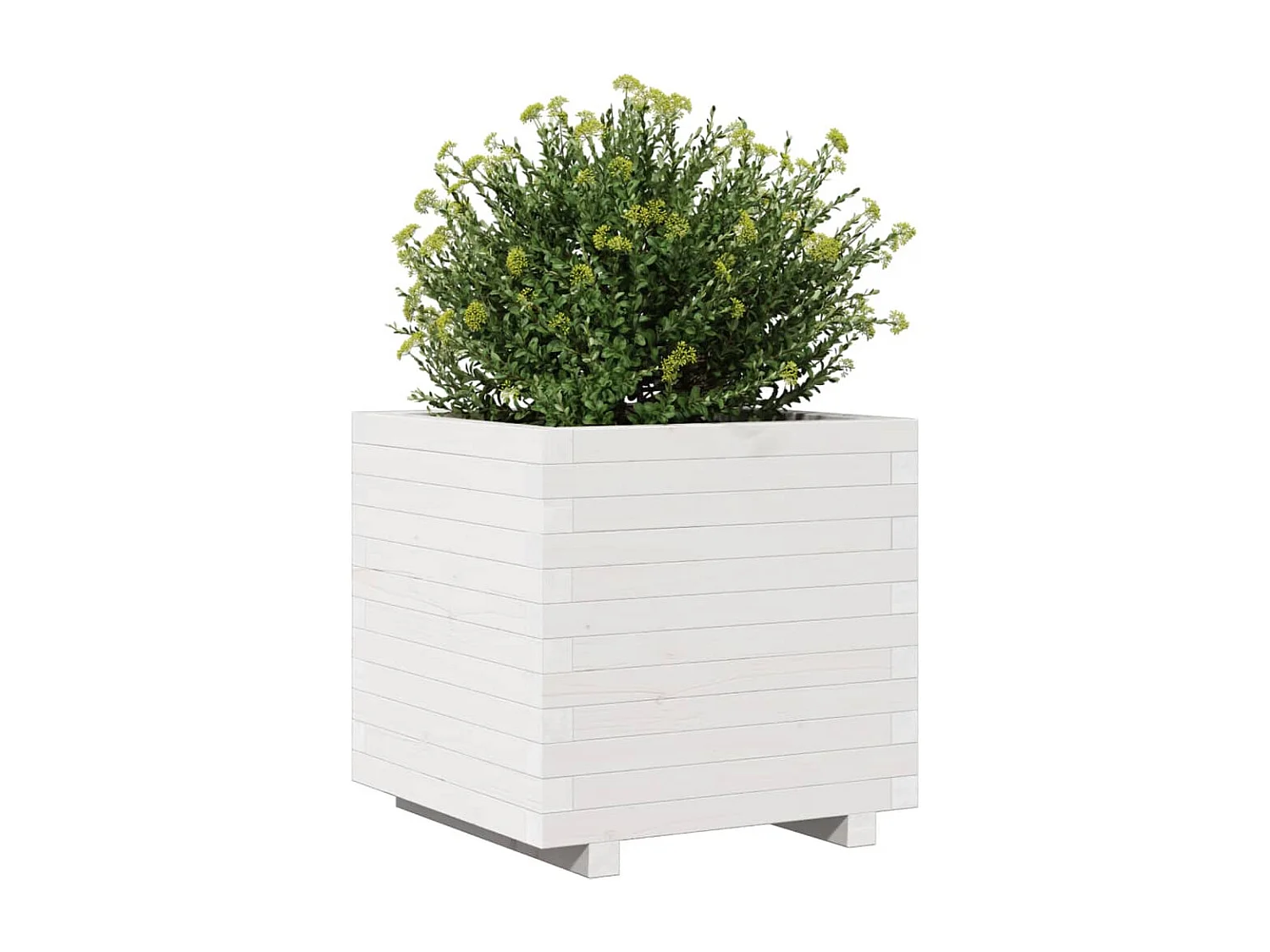 Jardinière blanc 50x50x49,5 cm bois de pin massif FR19385