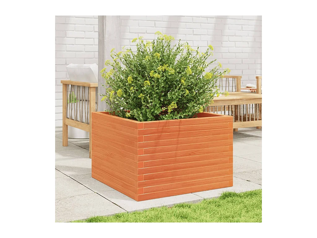 Jardinière cire marron 70x70x46 cm bois de pin massif FR75648