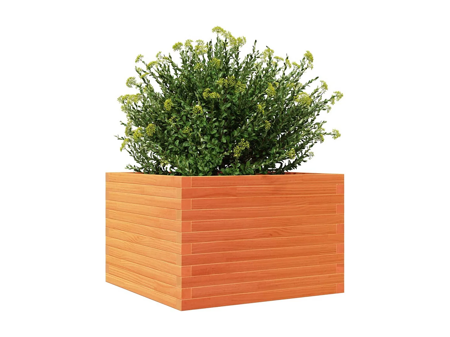 Jardinière cire marron 70x70x46 cm bois de pin massif FR75648