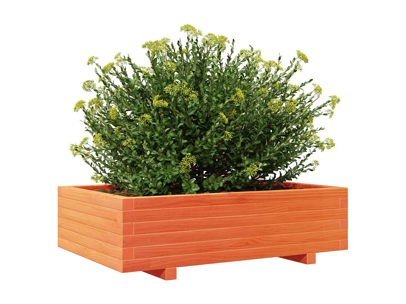 Vaso/floreira de jardim 90x60x26,5 cm pinho maciço castanho-mel PT578096