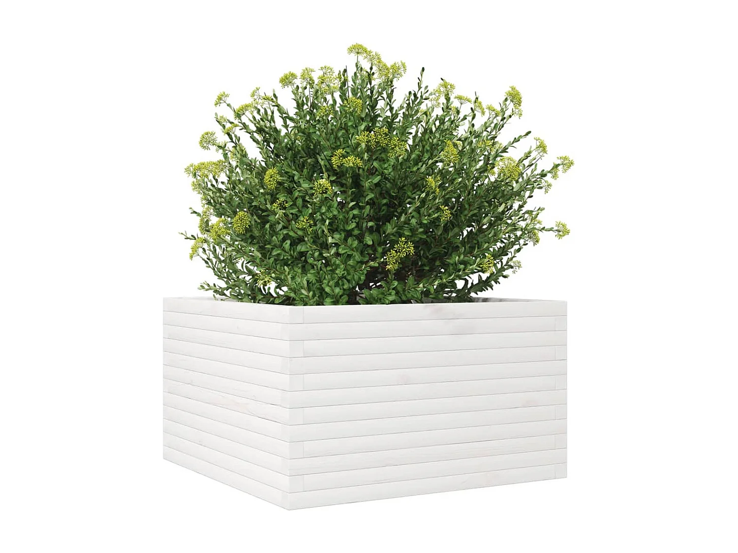Plantenbak 80x80x45,5 cm massief grenenhout wit BE309642