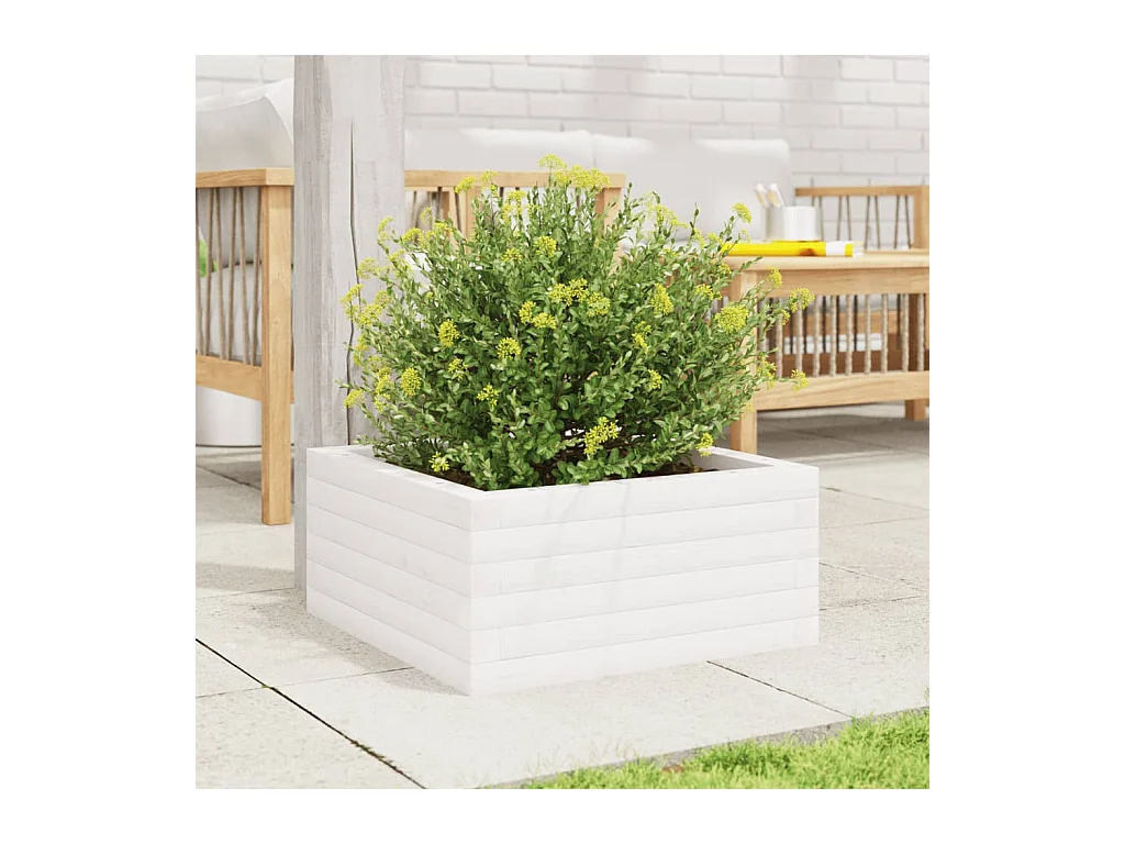 Jardinière blanc 50x50x23 cm bois de pin massif FR24187