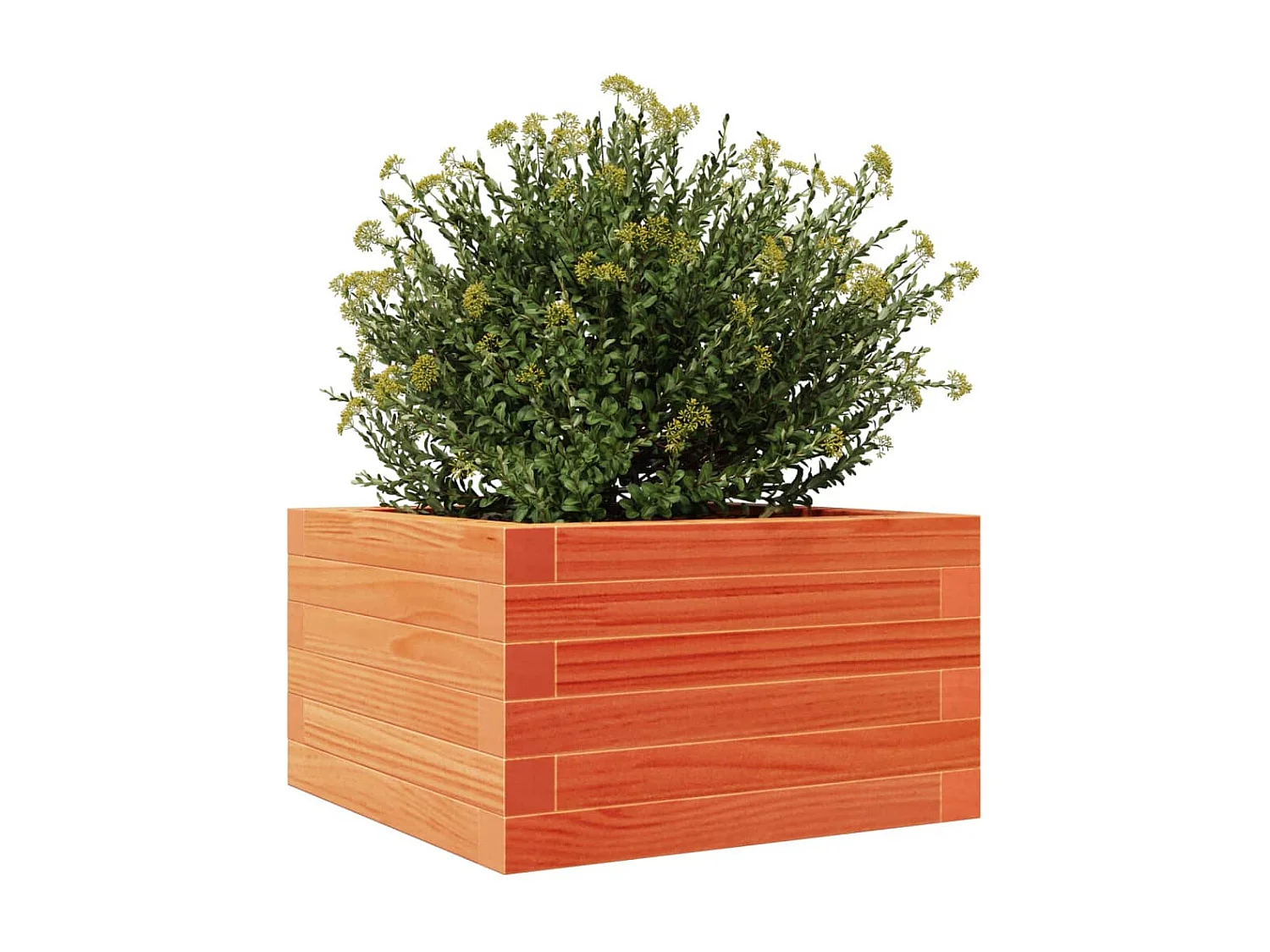 Plantenbak 40x40x23 cm massief grenenhout wasbruin BE431359