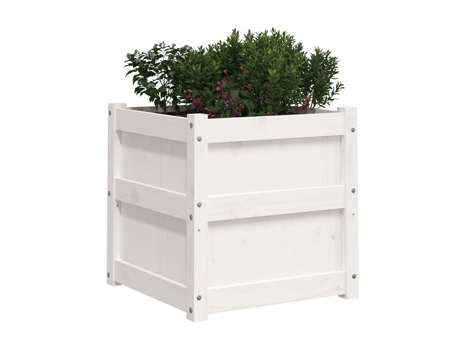 Jardinière blanc 50x50x50 cm bois de pin massif FR33562