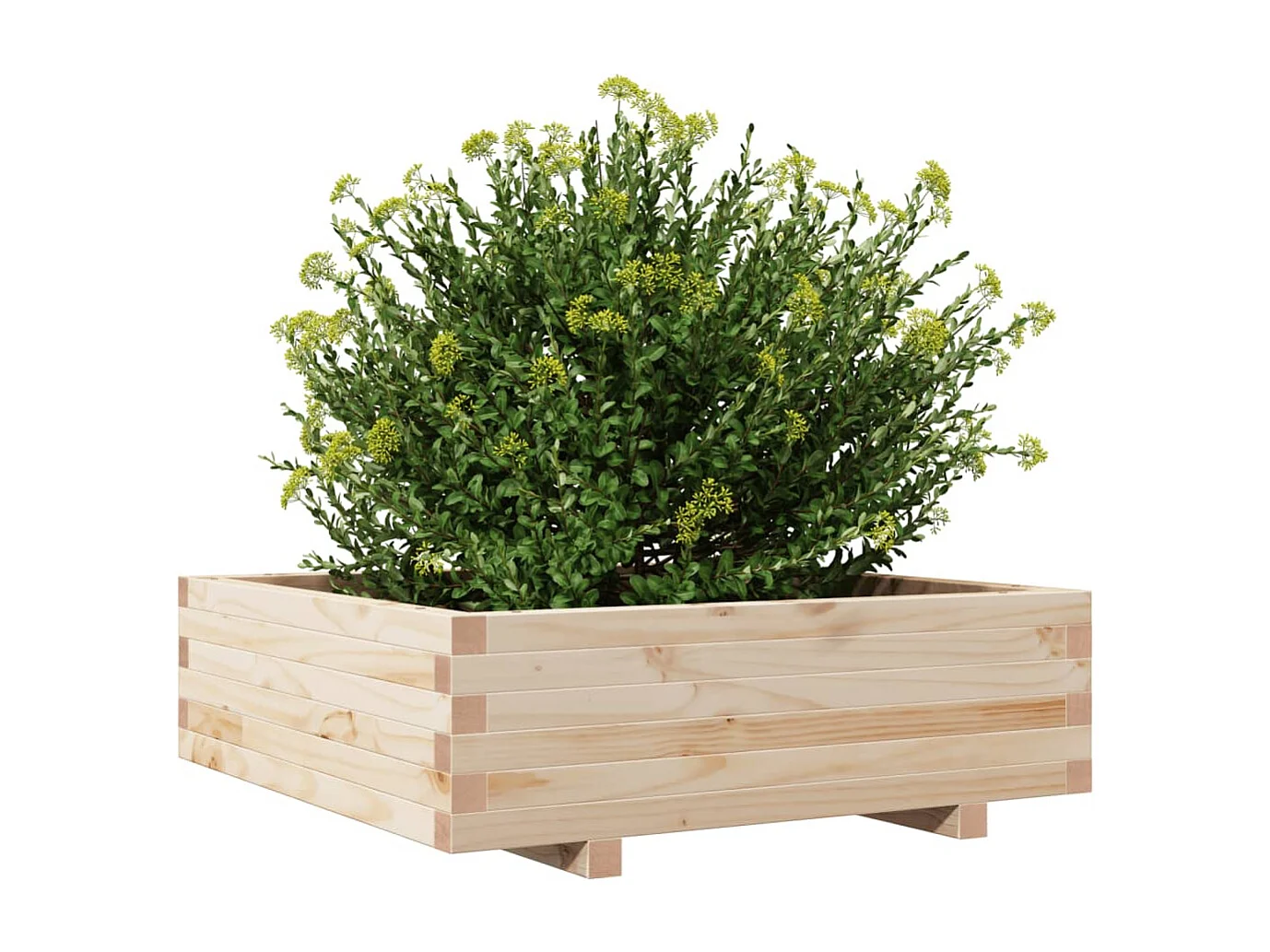 Plantenbak 80x80x26,5 cm massief grenenhout BE474295