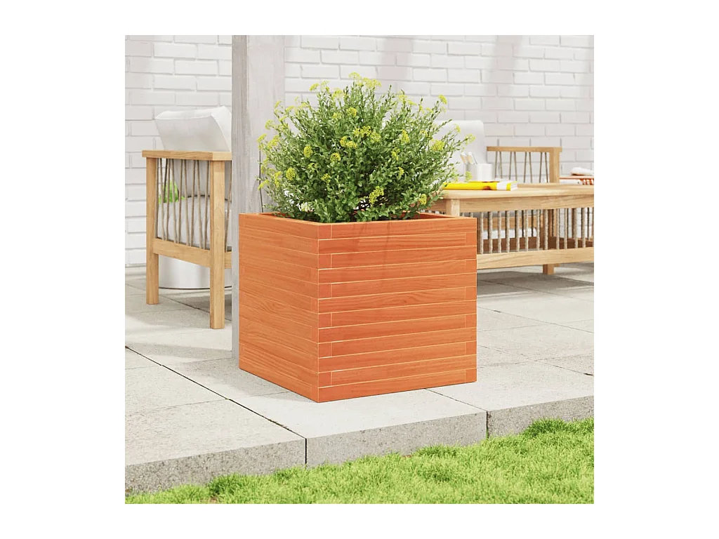 Jardinière cire marron 50x50x46 cm bois de pin massif FR82309