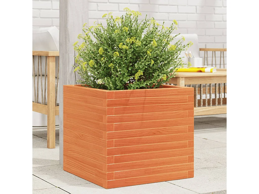 Jardinière cire marron 50x50x46 cm bois de pin massif FR82309