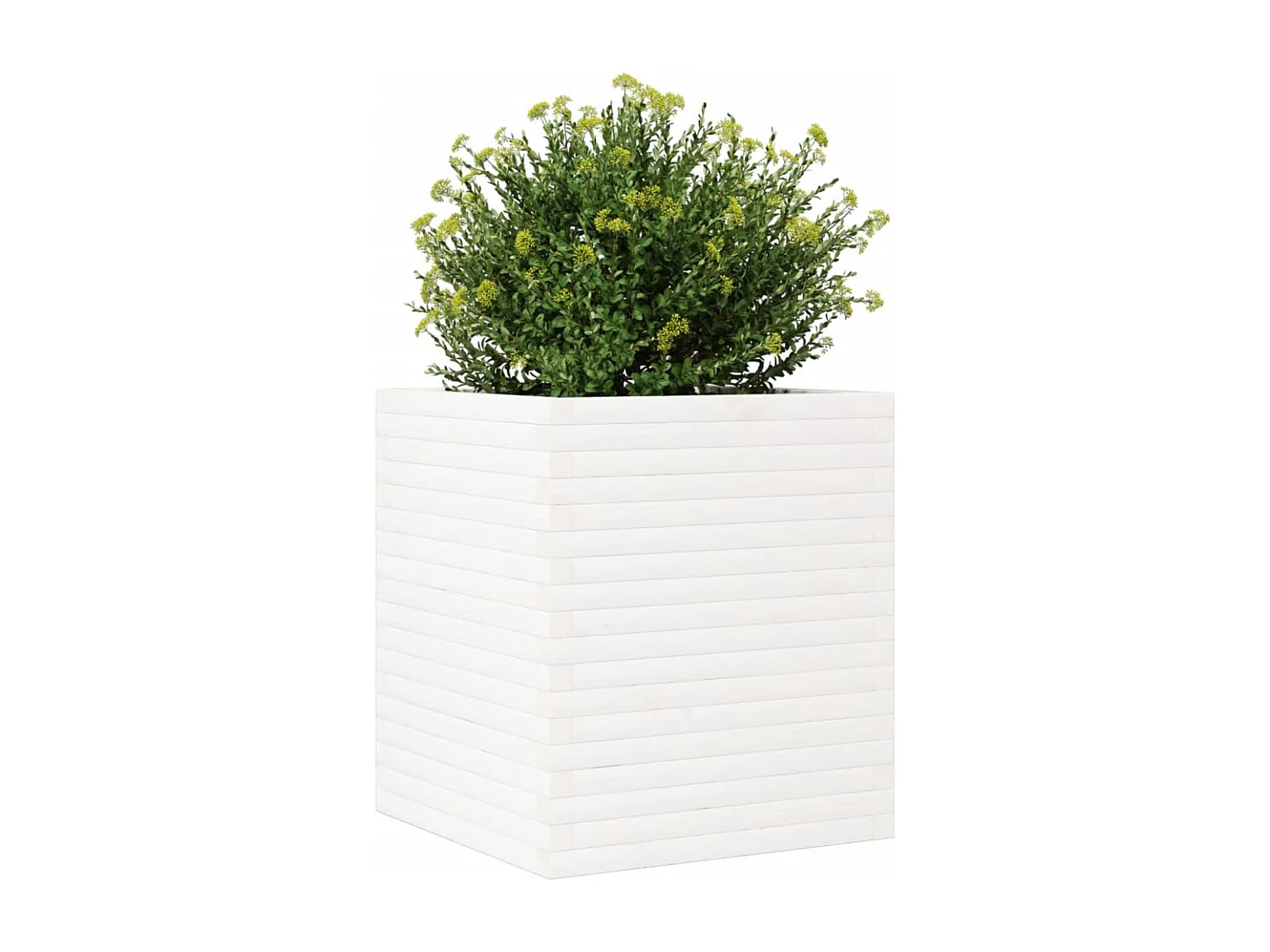 Jardinière blanc 60x60x68,5 cm bois de pin massif FR73054