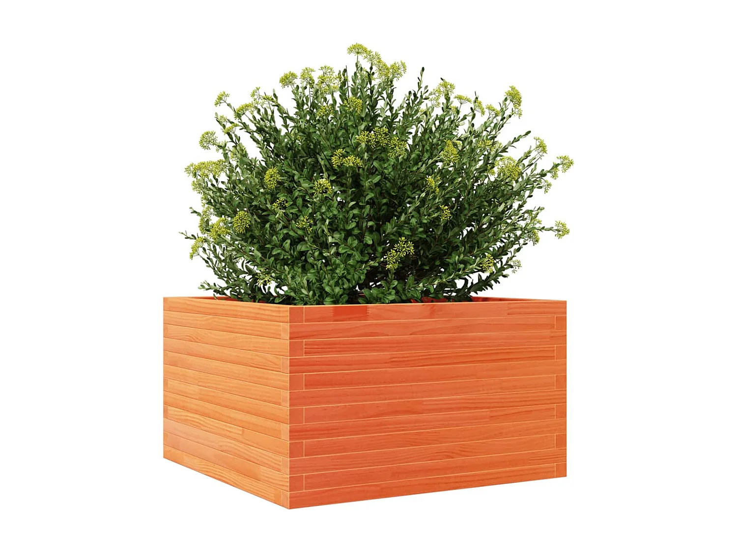 Jardinière cire marron 80x80x45,5 cm bois de pin massif FR19346