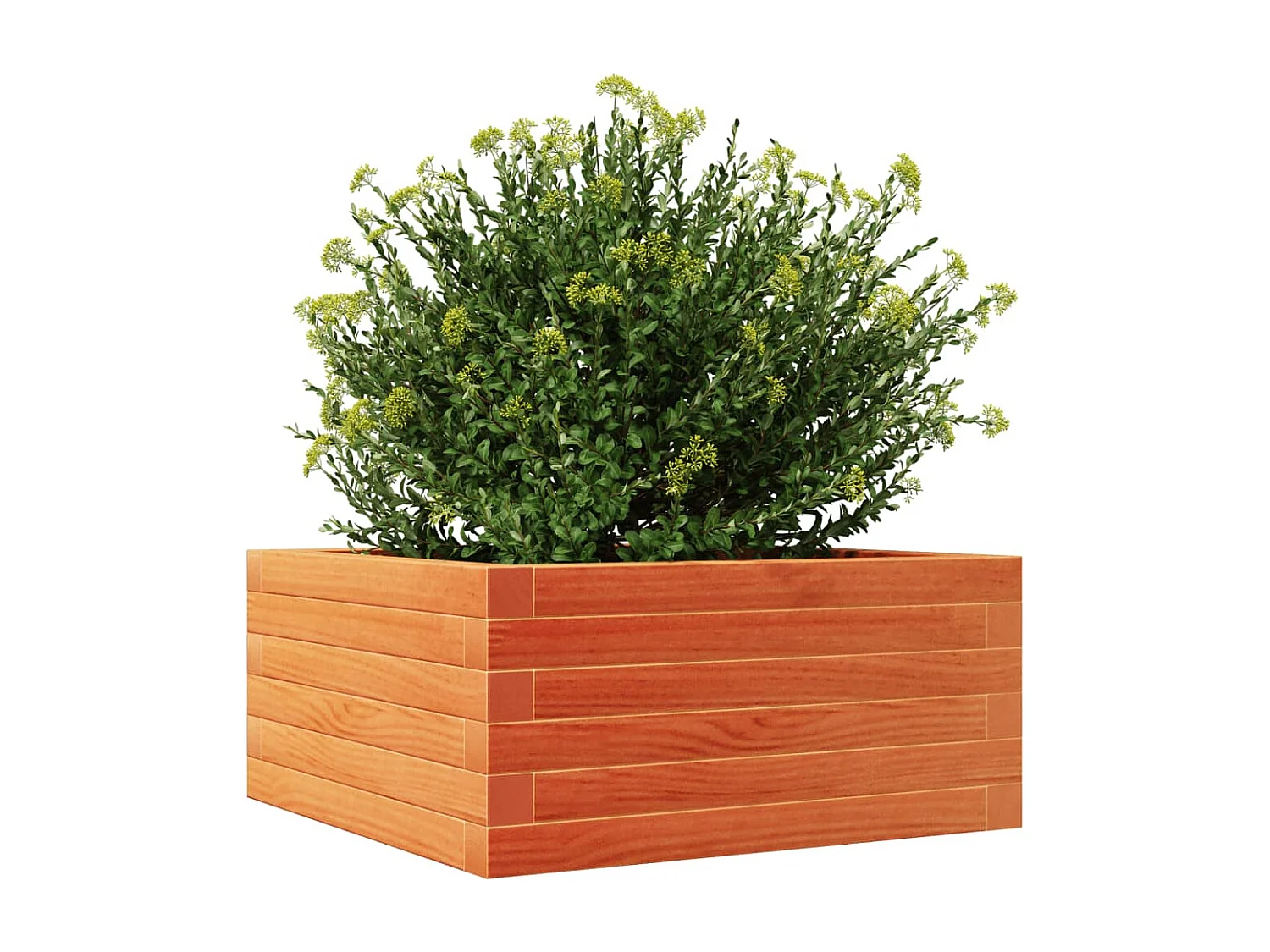 Jardinière cire marron 50x50x23 cm bois de pin massif FR91491