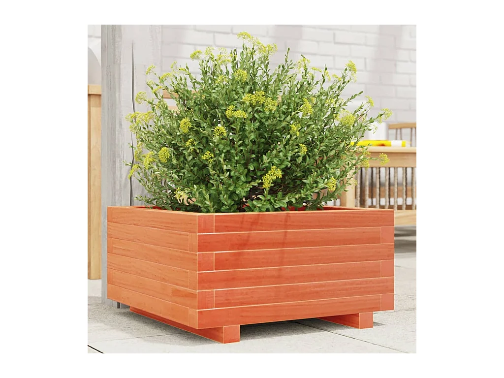 Jardinière cire marron 50x50x26,5 cm bois de pin massif FR28327