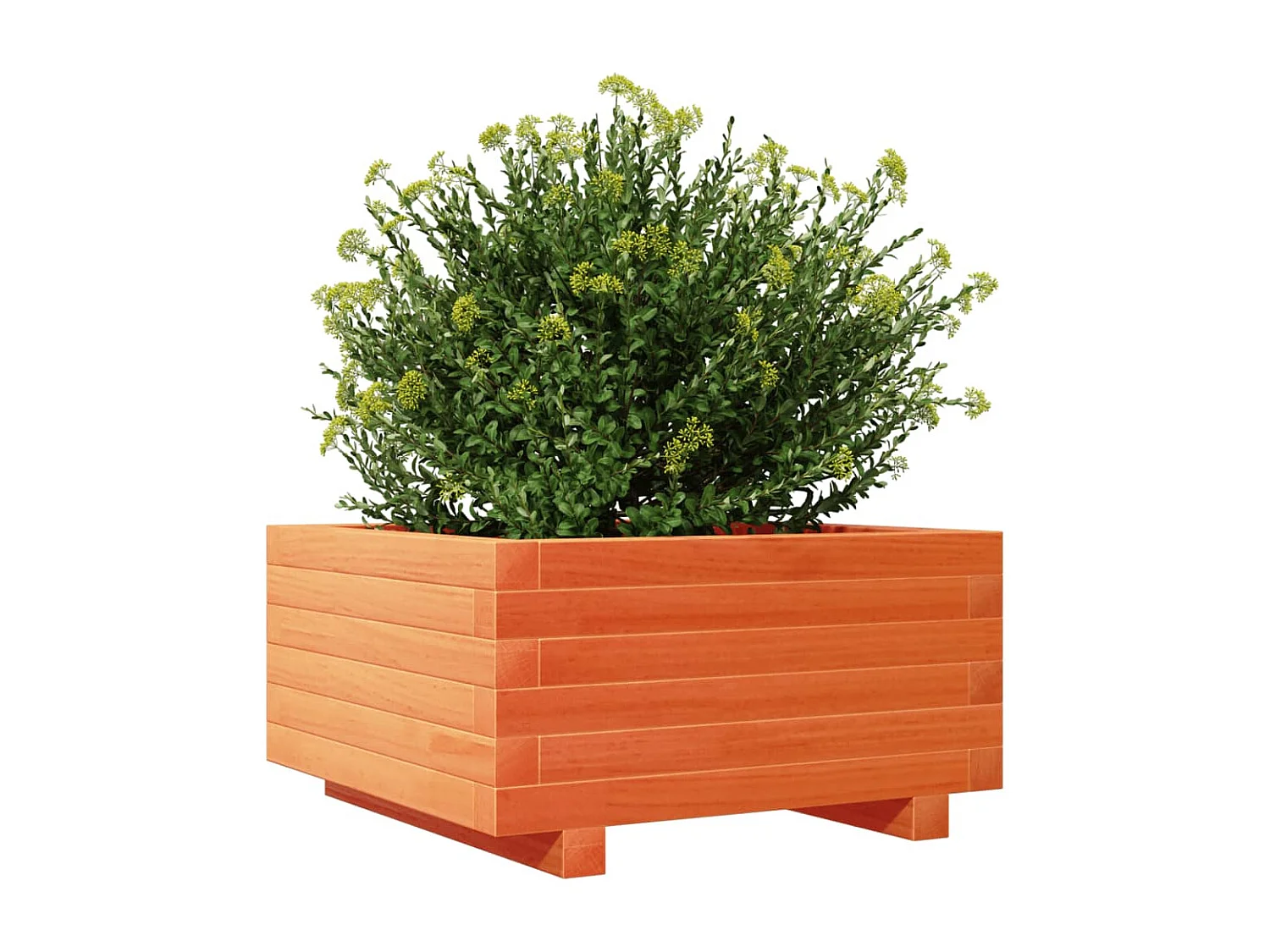 Jardinière cire marron 50x50x26,5 cm bois de pin massif FR28327