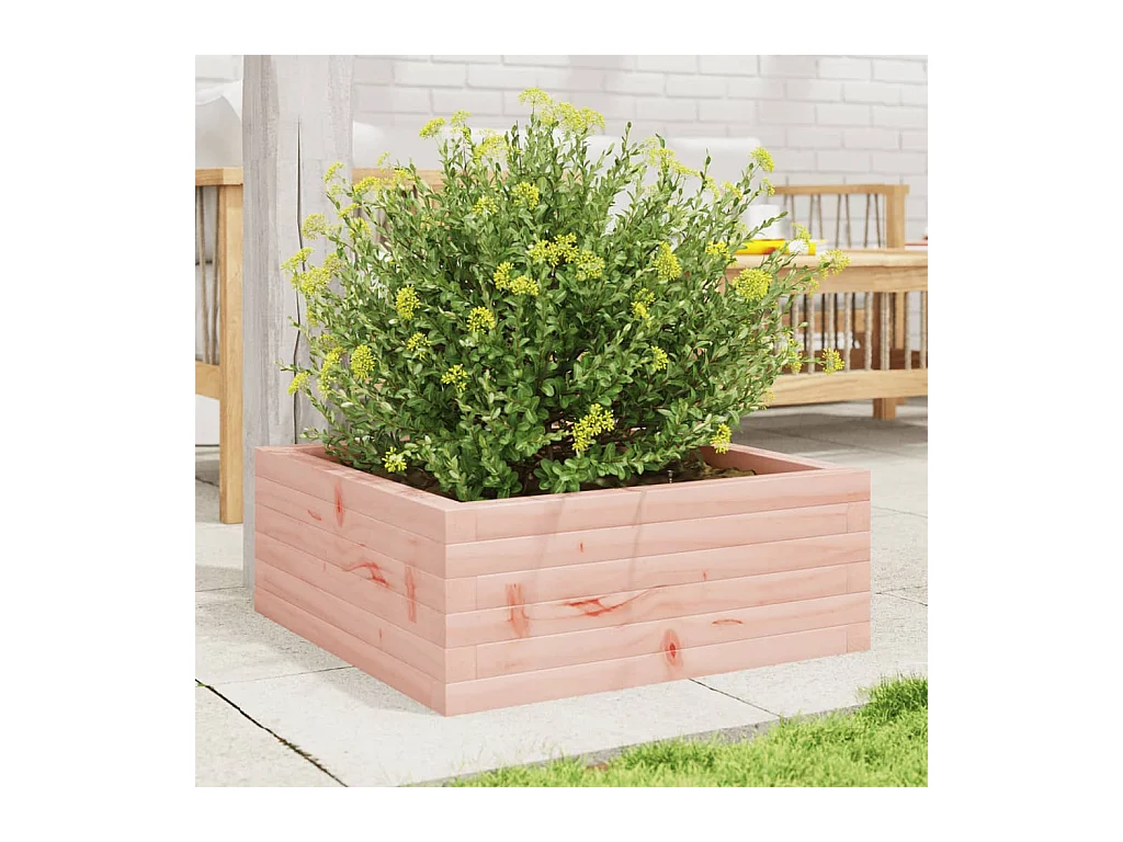 Jardinière 60x60x23 cm bois massif douglas FR55671