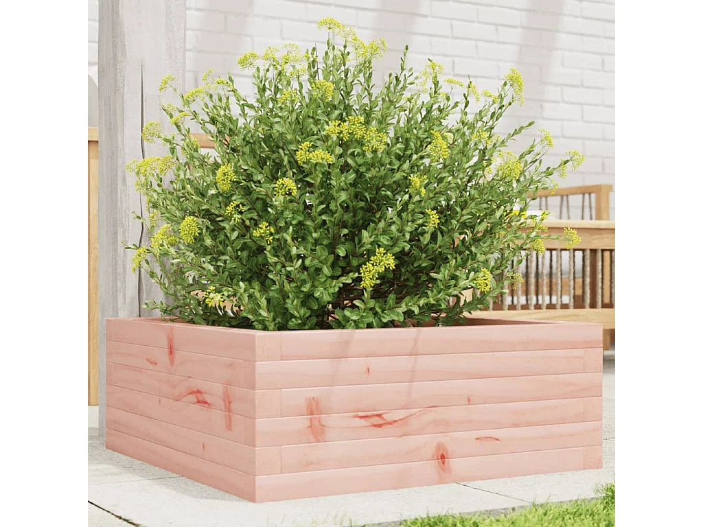 Jardinière 60x60x23 cm bois massif douglas FR55671