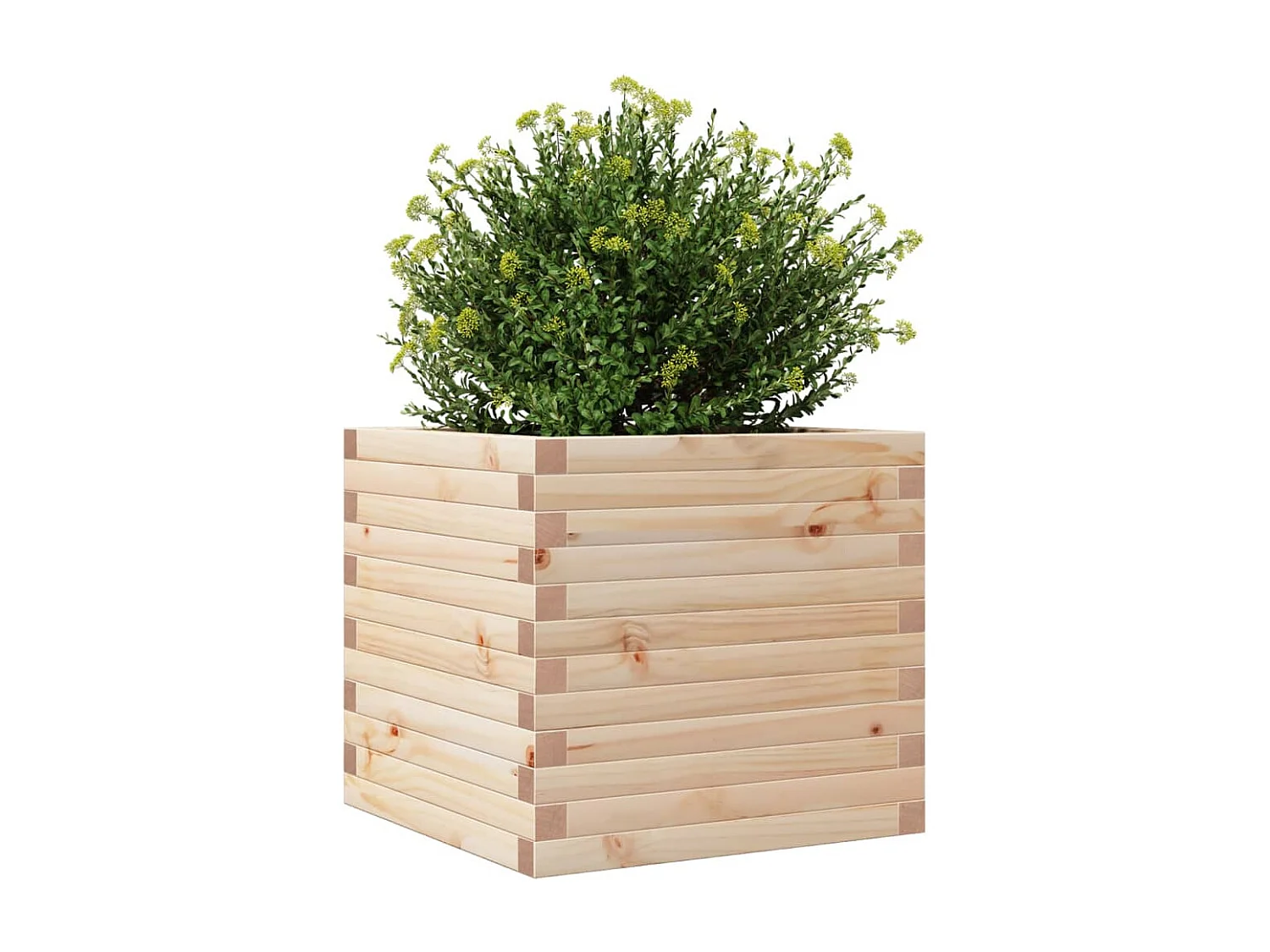 Jardinière 50x50x46 cm bois de pin massif FR74519