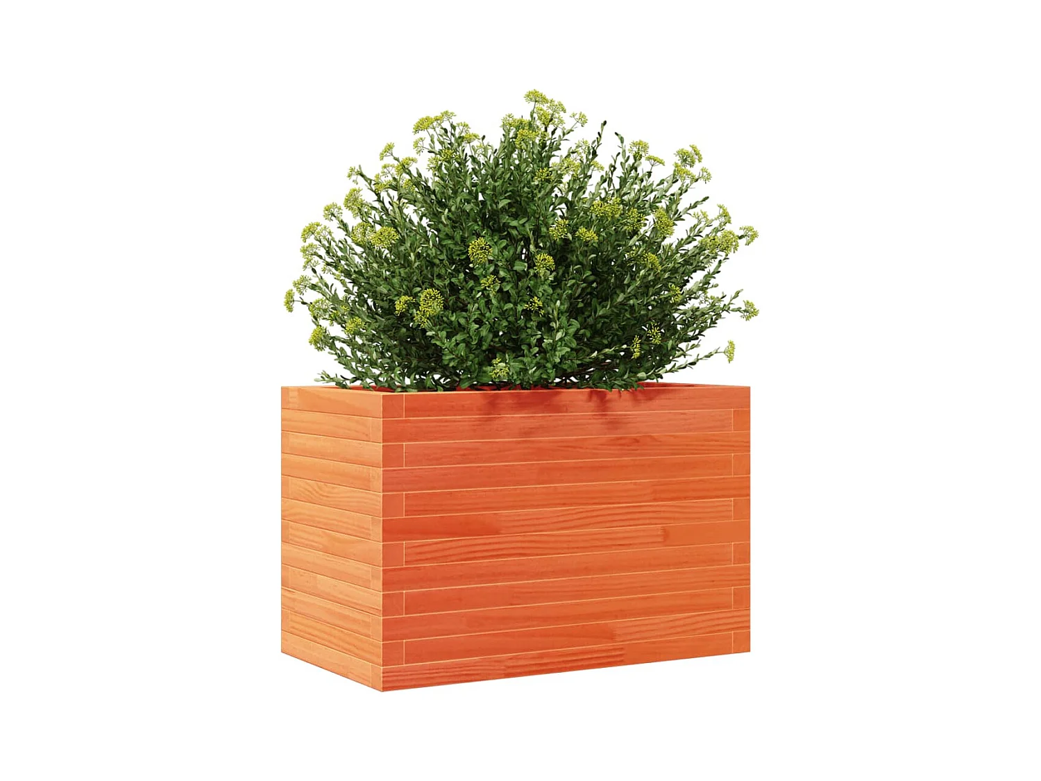 Plantenbak 70x40x45,5 cm massief grenenhout wasbruin BE968863