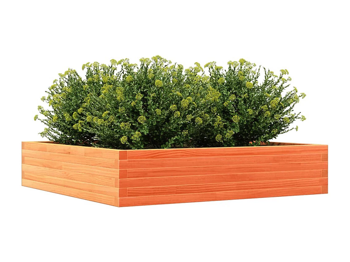 Jardinière cire marron 110x110x23 cm bois de pin massif FR41381