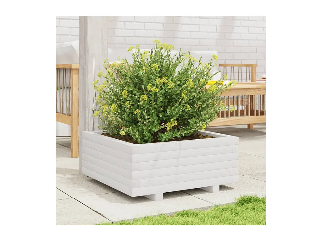 Jardinière blanc 60x60x26,5 cm bois de pin massif FR64519