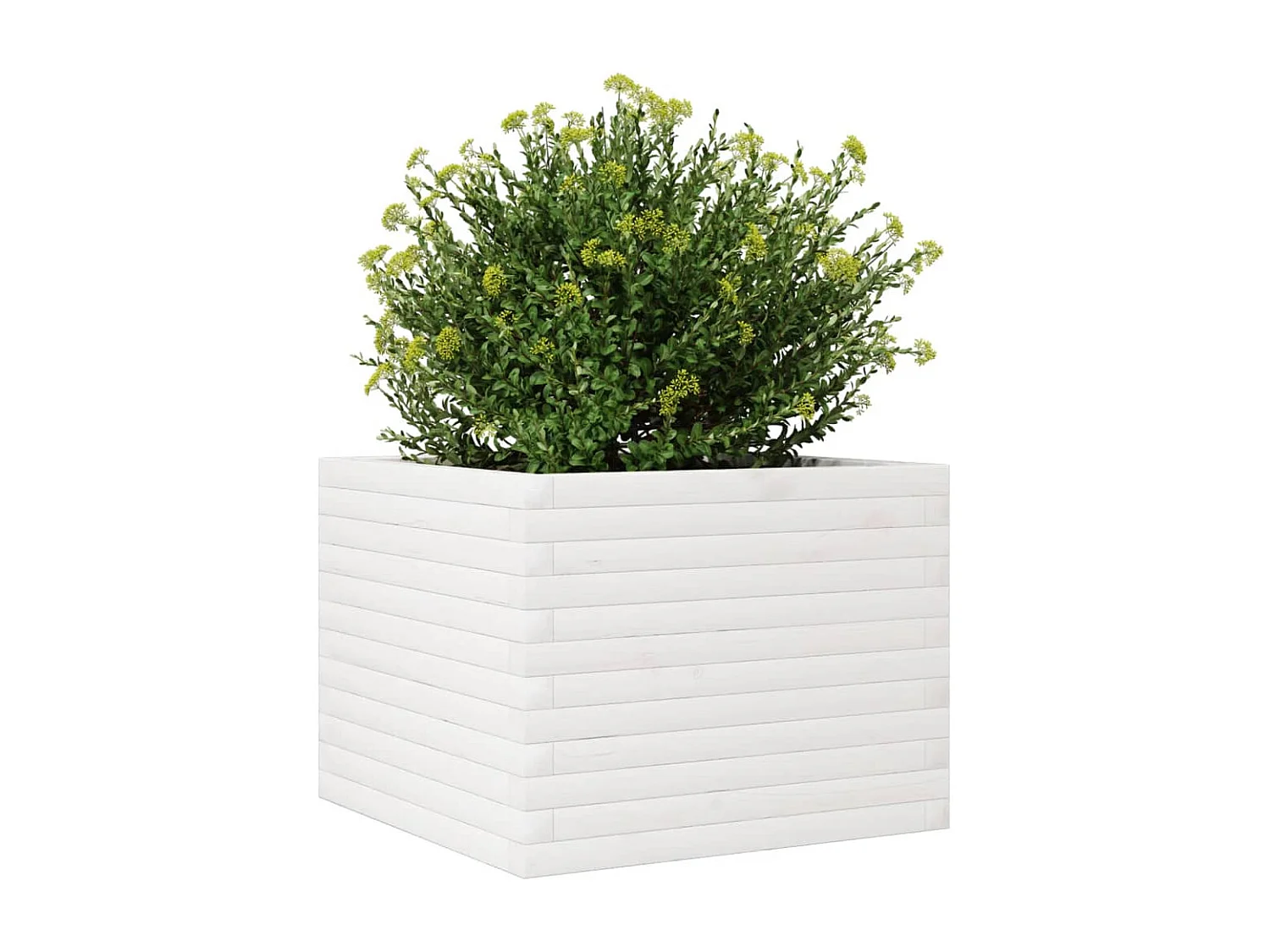 Plantenbak 60x60x45,5 cm massief grenenhout wit BE220609