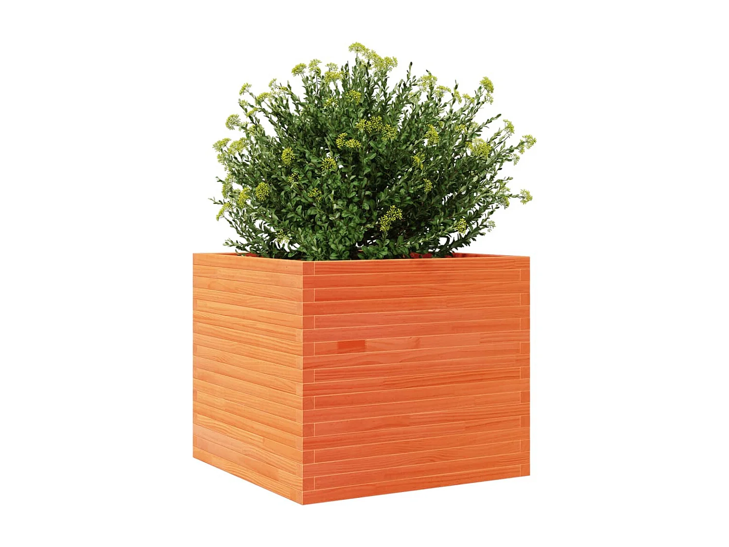 Jardinière cire marron 80x80x68,5 cm bois de pin massif FR46072