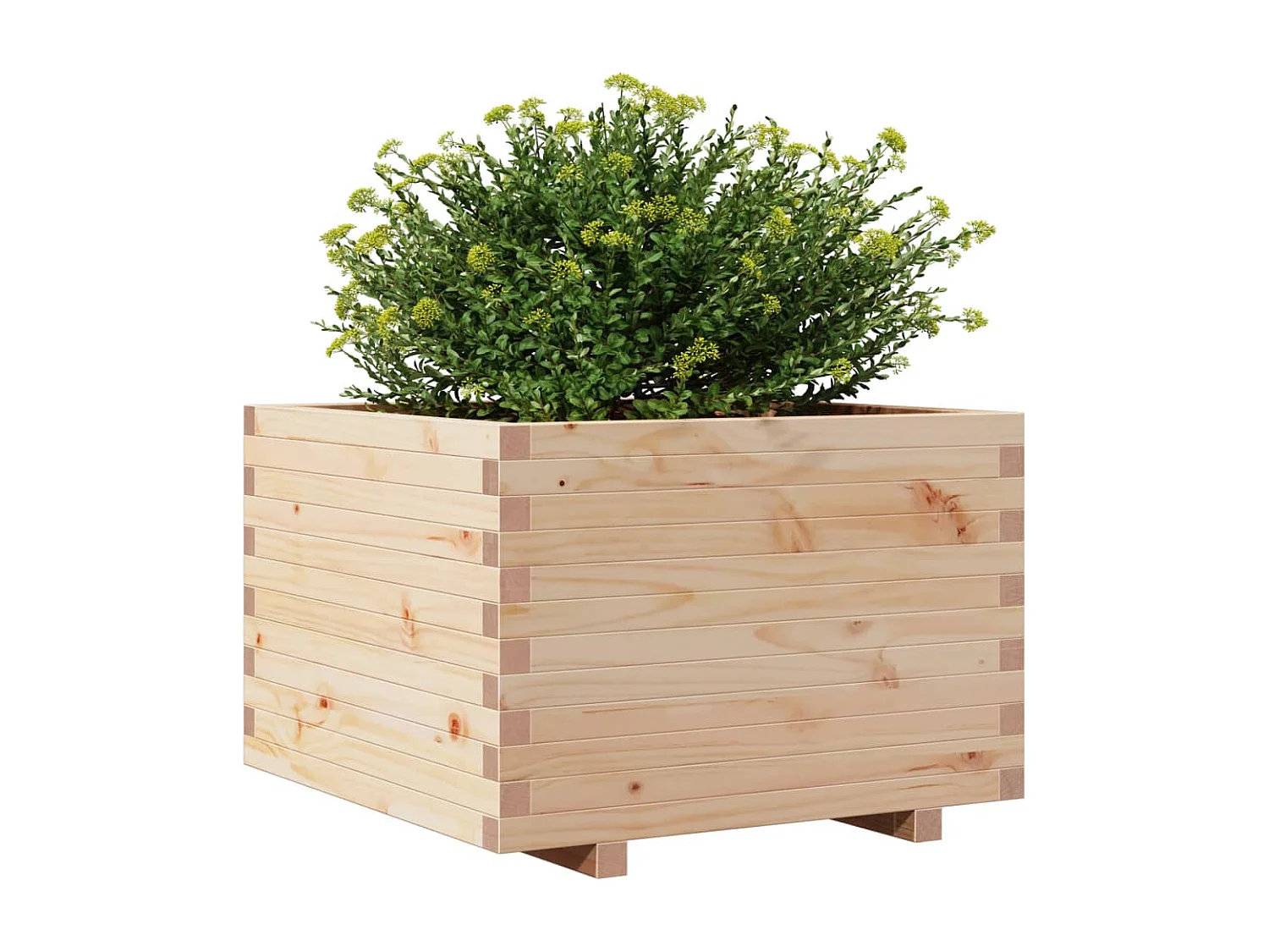 Jardinière 70x70x49,5 cm bois de pin massif FR93238