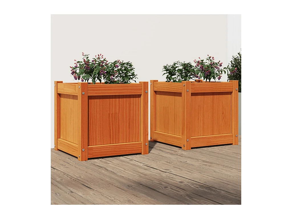 Plantenbakken 2 st cm massief grenenhout wasbruin BE918721