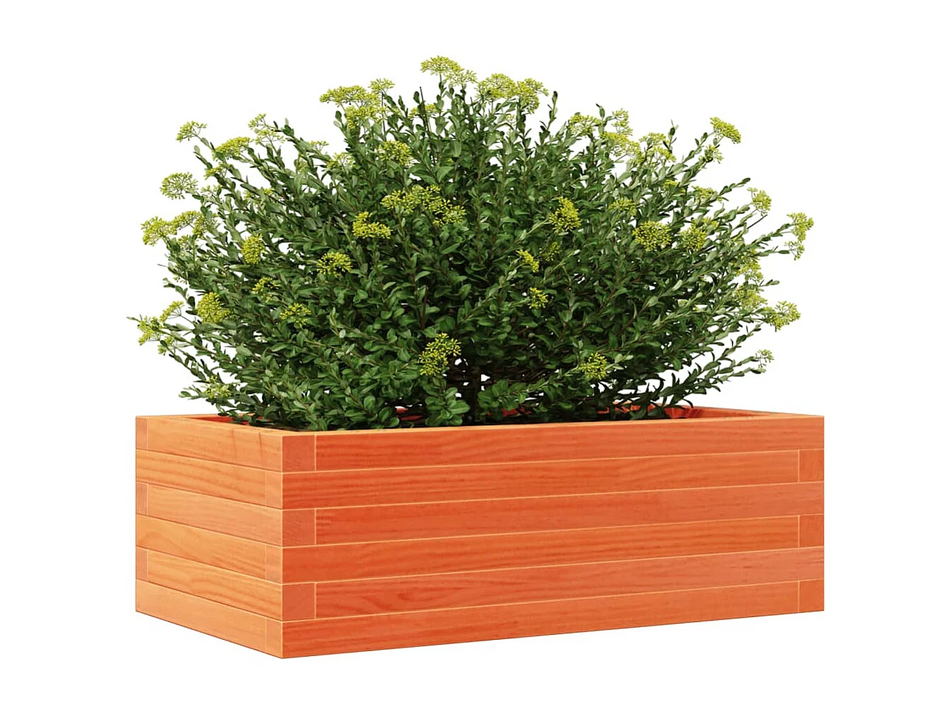 Jardinière cire marron 70x40x23 cm bois de pin massif FR85001