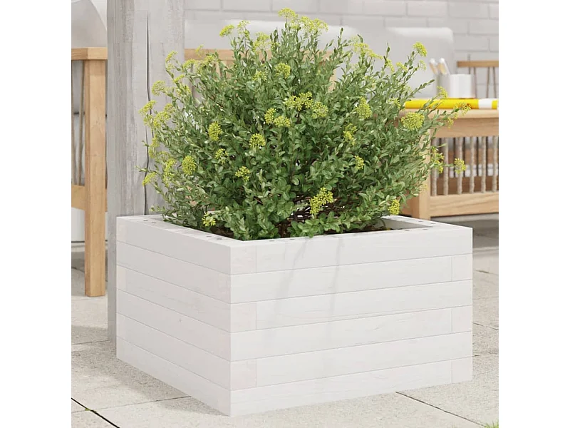 Jardinière blanc 40x40x23 cm bois de pin massif FR75454
